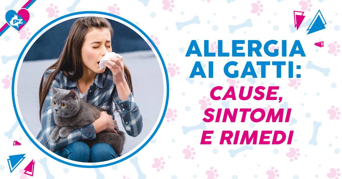 Allergia ai gatti: cause, sintomi e rimedi