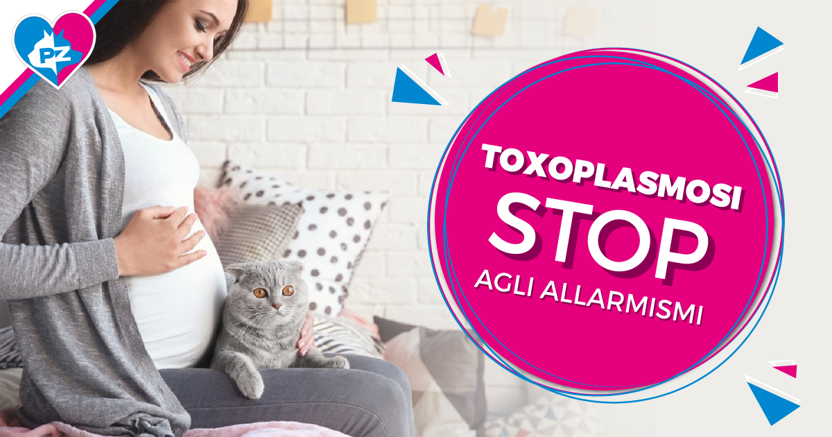 Toxoplasmosi: stop agli allarmismi